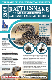 With summer-like temperatures, it's time for hikers and trail runners to be on the lookout for rattlesnakes, and the same thing goes for their dogs too.  The Idaho Chukar Foundation and Idaho Humane Society are hosting rattlesnake, skunk, and porcupine avoidance training sessions. The event is June 2nd at Julia Davis Park.