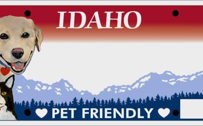 Idaho Humane Society backing new pet-friendly license plate