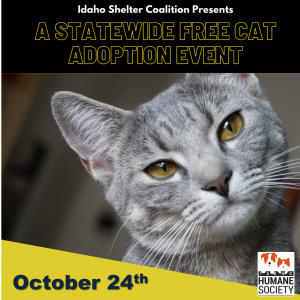 Idaho Humane Society kicks off free adoption event in partnership with 19  other rescues in the Idaho Shelter Coalition - Idaho Humane Society