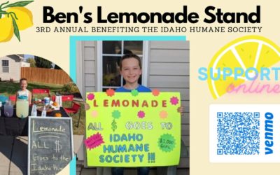 Ben’s Lemonade Stand