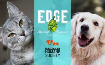 Edge Brewing with IHS