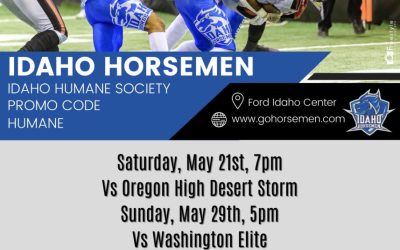 Idaho Horseman Football, benefiting Idaho Humane Society