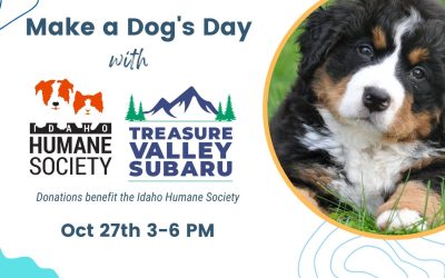 Make a Dog’s Day with Treasure Valley Subaru