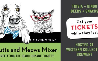 Popular Boise Brewery Announces ‘Mixer’ For Pet Lovers