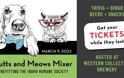 Mutts and Meows Mixer