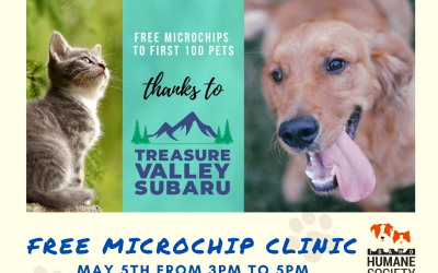 Free Microchip Event at Treasure Valley Subaru