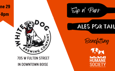 Ales for Tales with White Dog Brewing