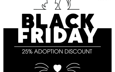 Black Friday Adoption Special