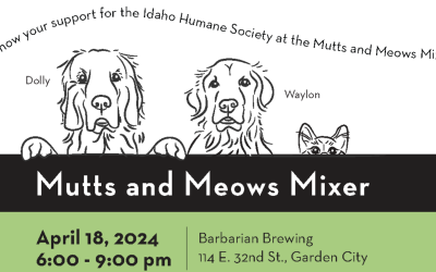 Mutts and Meows Mixer